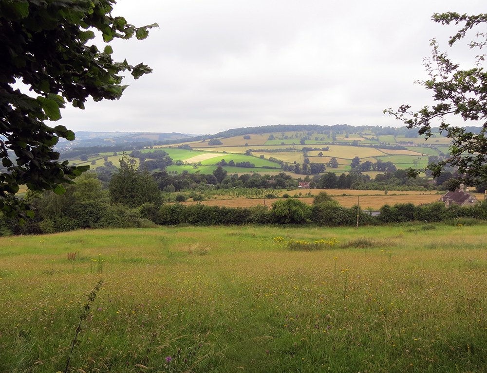 A hazy day but gorgeous soft summer colours