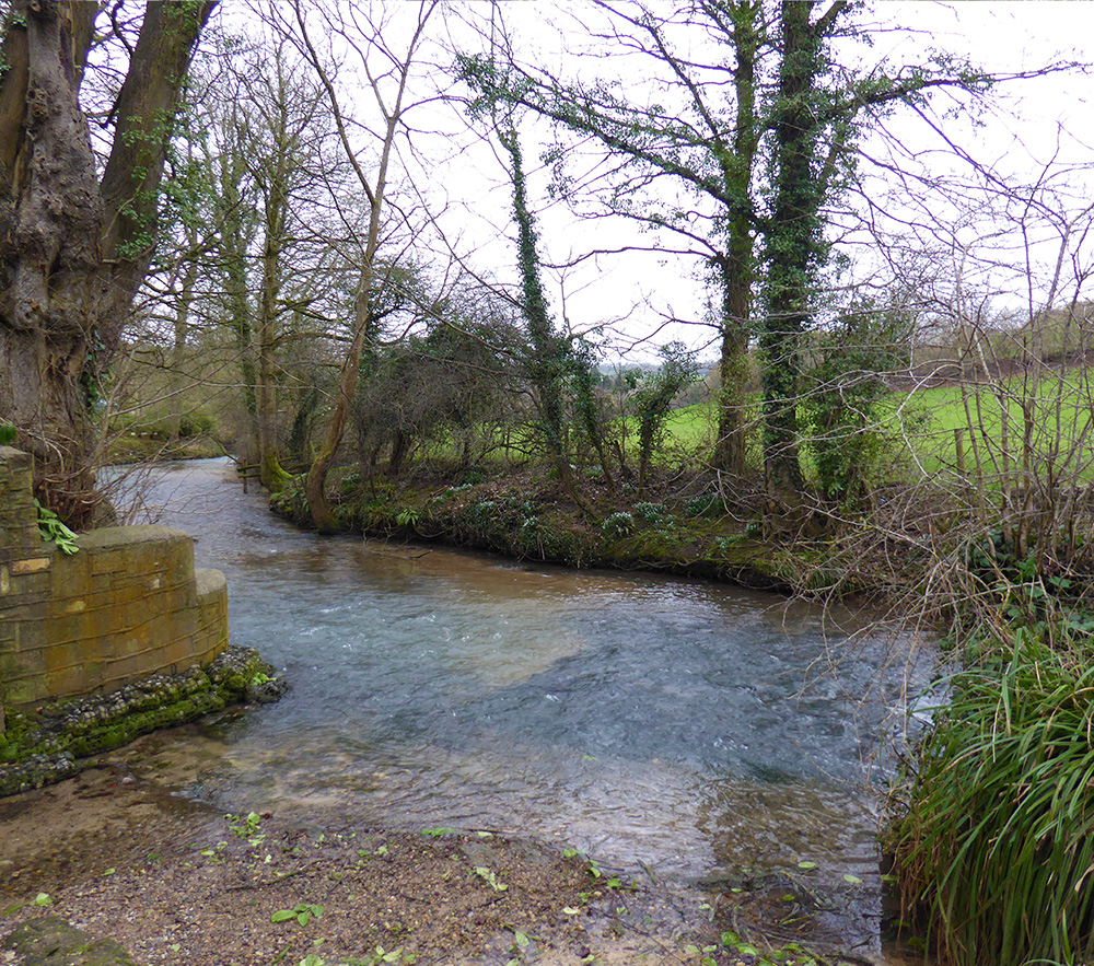 A familiar west-country brook - there was no shortage of water on this walk