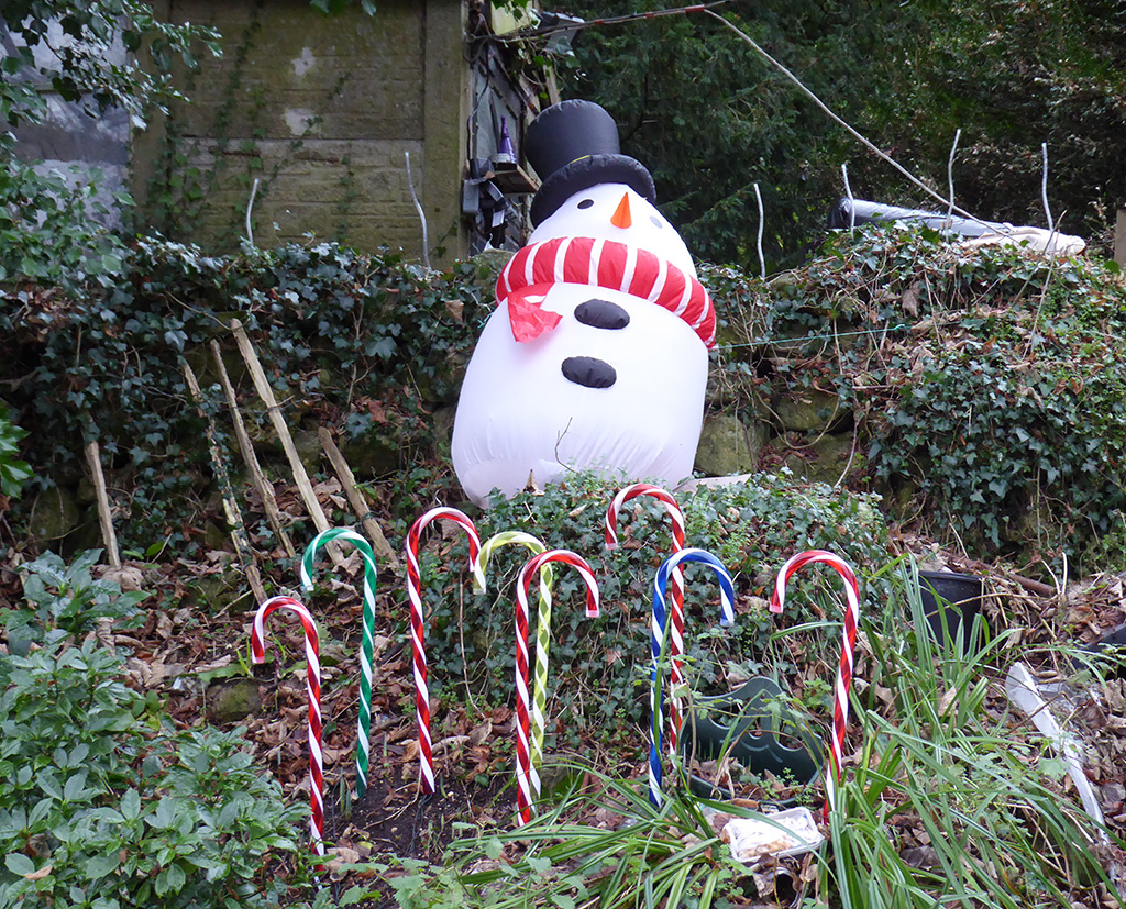 Festive remnants in Sally in the Woods