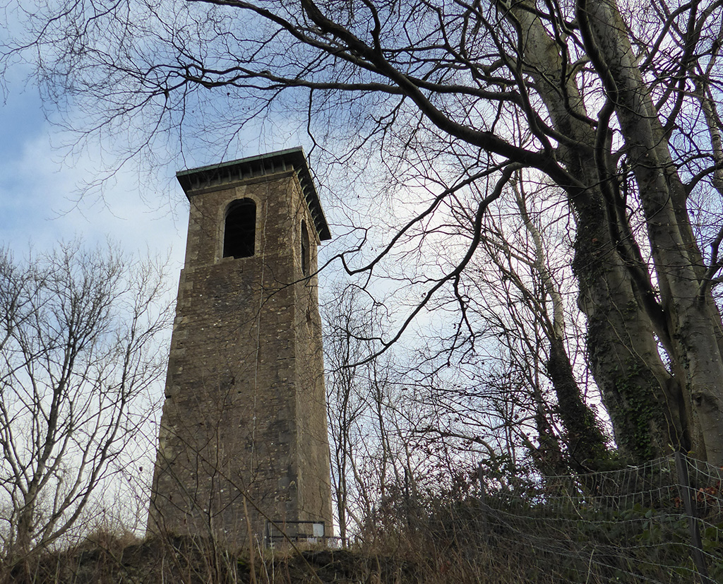 Steps through the woods to the folly