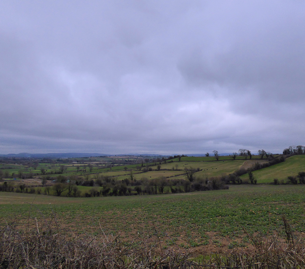 Wintry views
