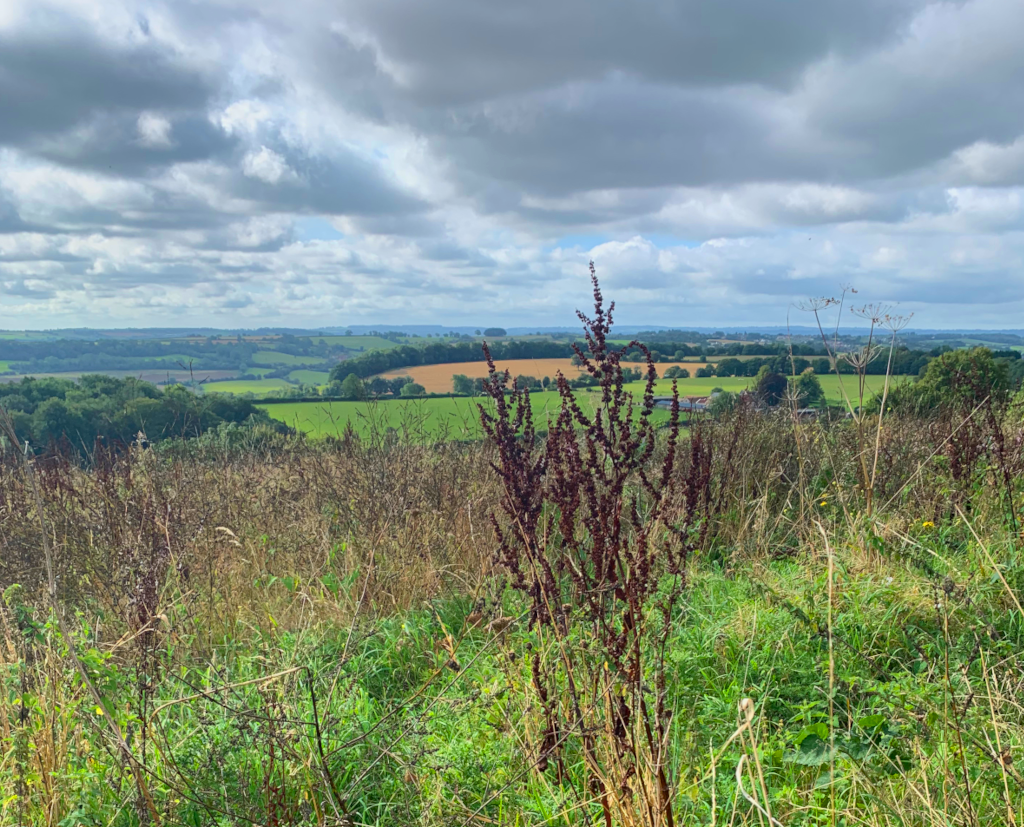 Great views on the way out