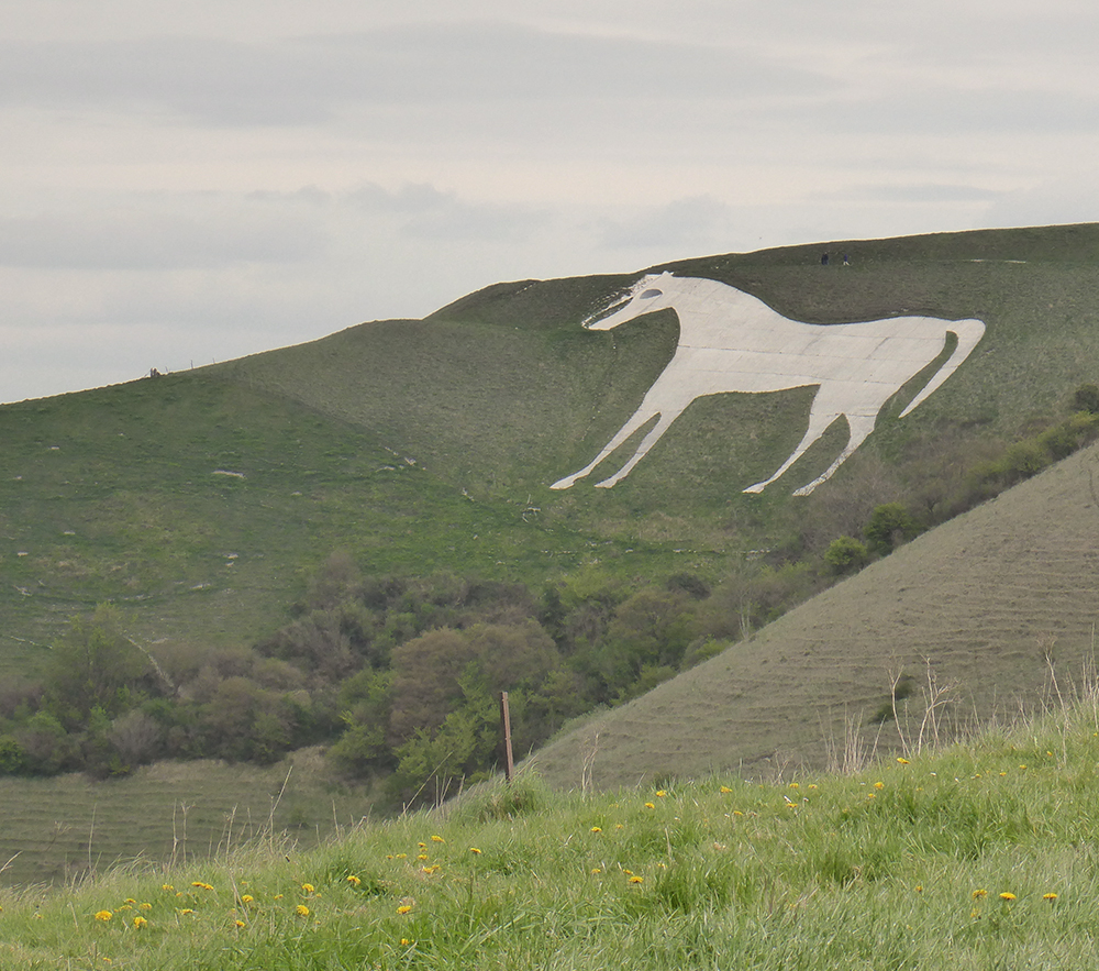 The Westbury White Horse
